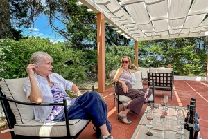 Depuis Porto : Visite privée de la vallée du Douro avec 3 vignobles et déjeuner