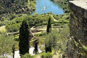 Depuis Porto : Visite privée de la vallée du Douro avec 3 vignobles et déjeuner