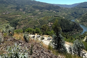 Depuis Porto : Visite privée de la vallée du Douro avec 3 vignobles et déjeuner