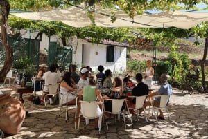 Från Porto: Sightseeing i Dourodalen med ett vingårdsbesök