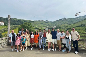 Ab Porto: Besichtigung des Douro-Tals mit 1 Weingutbesuch
