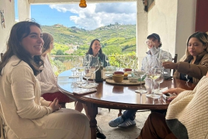 Ab Porto: Besichtigung des Douro-Tals mit 1 Weingutbesuch