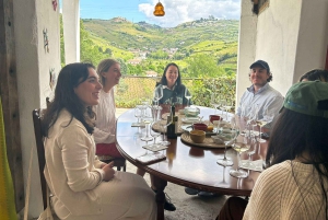 Ab Porto: Besichtigung des Douro-Tals mit 1 Weingutbesuch