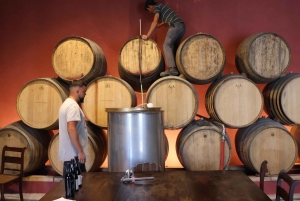 Ab Porto: Besichtigung des Douro-Tals mit 1 Weingutbesuch