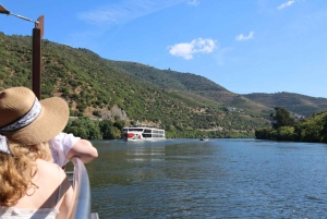 Ab Porto: Besichtigung des Douro-Tals mit 1 Weingutbesuch