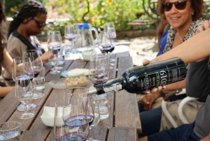 Ab Porto: Besichtigung des Douro-Tals mit 1 Weingutbesuch