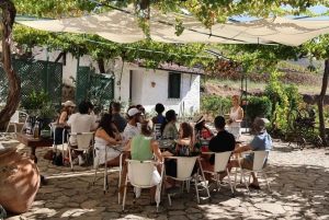 Ab Porto: Besichtigung des Douro-Tals mit 1 Weingutbesuch