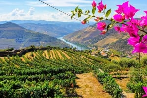 Depuis Porto : Vallée du Douro avec vignobles, déjeuner et excursion en bateau