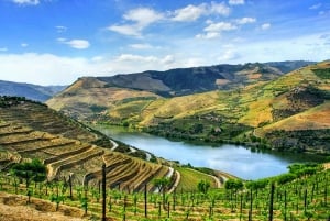 Depuis Porto : Vallée du Douro avec vignobles, déjeuner et excursion en bateau