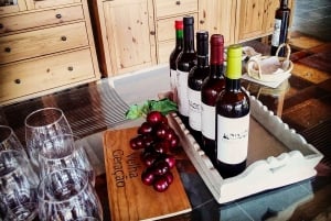 Depuis Porto : Vallée du Douro avec vignobles, déjeuner et excursion en bateau