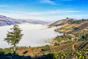Depuis Porto : Vallée du Douro avec vignobles, déjeuner et excursion en bateau