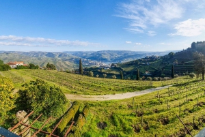 Depuis Porto : Vallée du Douro avec vignobles, déjeuner et excursion en bateau