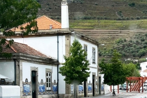 Depuis Porto : Vallée du Douro avec vignobles, déjeuner et excursion en bateau