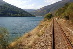 Depuis Porto : Vallée du Douro avec vignobles, déjeuner et excursion en bateau