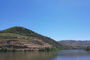 Depuis Porto : Vallée du Douro avec vignobles, déjeuner et excursion en bateau