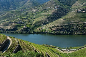 Depuis Porto : Vallée du Douro avec vignobles, déjeuner et excursion en bateau