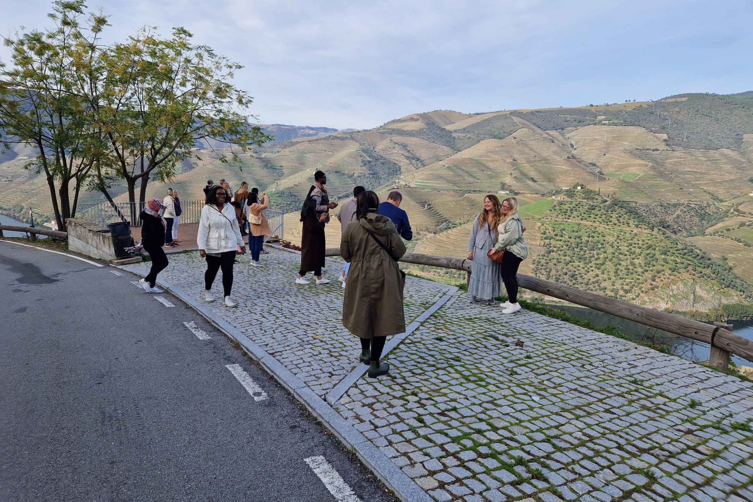 Van Porto Douro Vallei Tour met trein en Vinho Verde