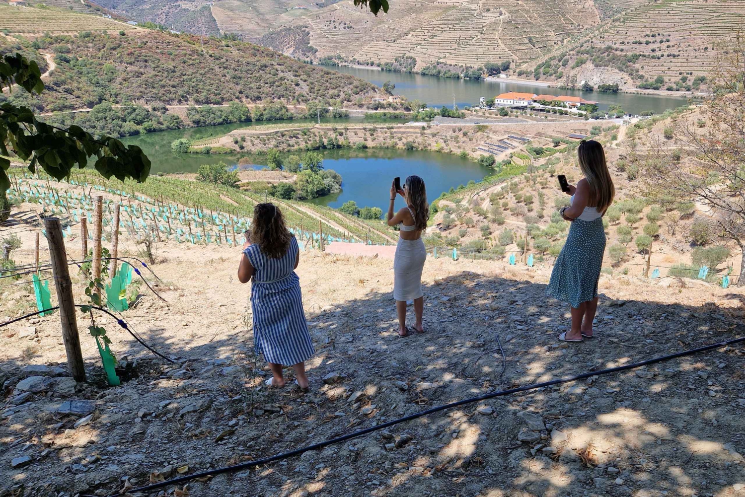 Van Porto Douro Vallei Tour met trein en Vinho Verde