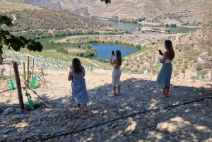 Van Porto Douro Vallei Tour met trein en Vinho Verde