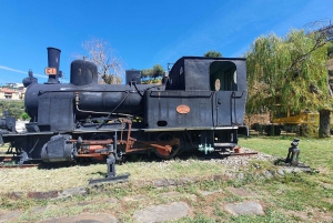 Van Porto Douro Vallei Tour met trein en Vinho Verde