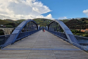 Van Porto Douro Vallei Tour met trein en Vinho Verde