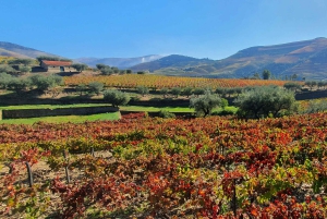 Van Porto Douro Vallei Tour met trein en Vinho Verde