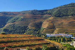 Van Porto Douro Vallei Tour met trein en Vinho Verde