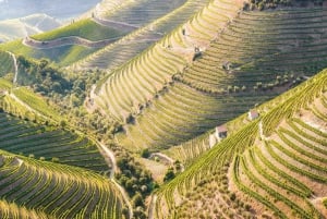 From Porto: Douro Valley w/ Boat Tour, Wine Tasting & Lunch