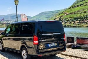 From Porto: Douro Valley w/ Boat Tour, Wine Tasting & Lunch