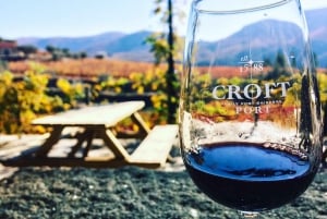 From Porto: Douro Valley w/ Boat Tour, Wine Tasting & Lunch