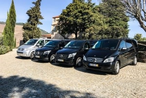 From Porto: Douro Valley w/ Boat Tour, Wine Tasting & Lunch