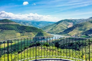 From Porto: Douro Valley w/ Boat Tour, Wine Tasting & Lunch