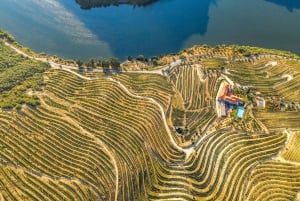 From Porto: Douro Valley w/ Boat Tour, Wine Tasting & Lunch