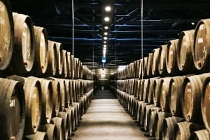 From Porto: Douro Valley w/ Boat Tour, Wine Tasting & Lunch