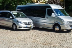 From Porto: Douro Valley w/ Boat Tour, Wine Tasting & Lunch