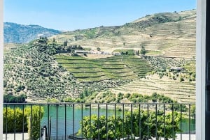 From Porto: Douro Valley w/ Boat Tour, Wine Tasting & Lunch