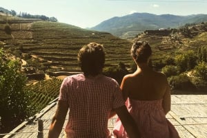 From Porto: Douro Valley w/ Boat Tour, Wine Tasting & Lunch