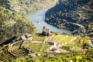 From Porto: Douro Valley w/ Boat Tour, Wine Tasting & Lunch