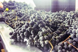 From Porto: Douro Valley w/ Boat Tour, Wine Tasting & Lunch