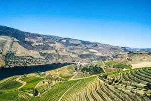 From Porto: Douro Valley w/ Boat Tour, Wine Tasting & Lunch