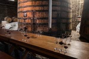 From Porto: Douro Valley w/ Boat Tour, Wine Tasting & Lunch
