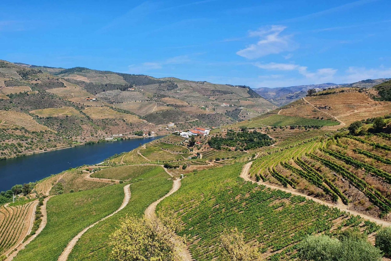 Depuis Porto : Visite de dégustation de vins de la vallée du Douro avec prise en charge à l'hôtel