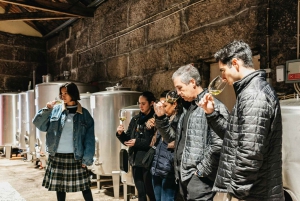Från Porto: Tur i liten grupp till Dourodalen med vin och kryssning