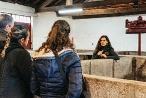 Från Porto: Tur i liten grupp till Dourodalen med vin och kryssning