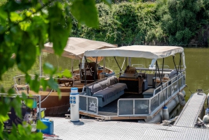 Från Porto: Tur i liten grupp till Dourodalen med vin och kryssning