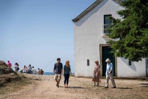 Från Porto: Tur i liten grupp till Dourodalen med vin och kryssning