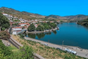 Från Porto: Tur i liten grupp till Dourodalen med vin och kryssning