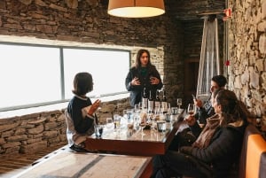 Från Porto: Tur i liten grupp till Dourodalen med vin och kryssning