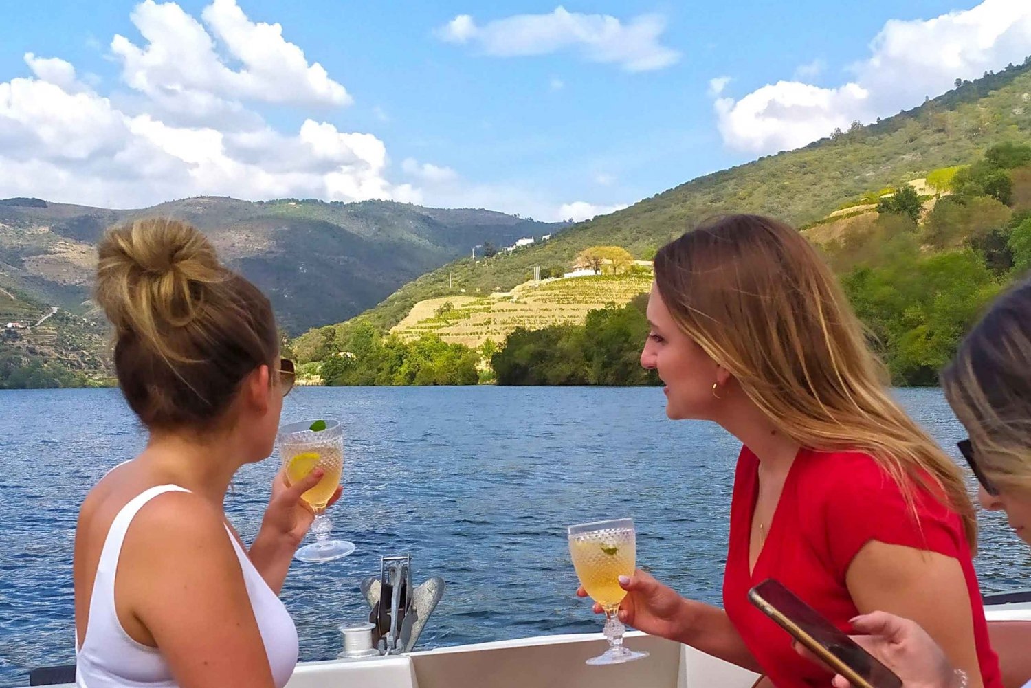 Da Porto: Tour della Valle del Douro con crociera sul fiume e pranzo