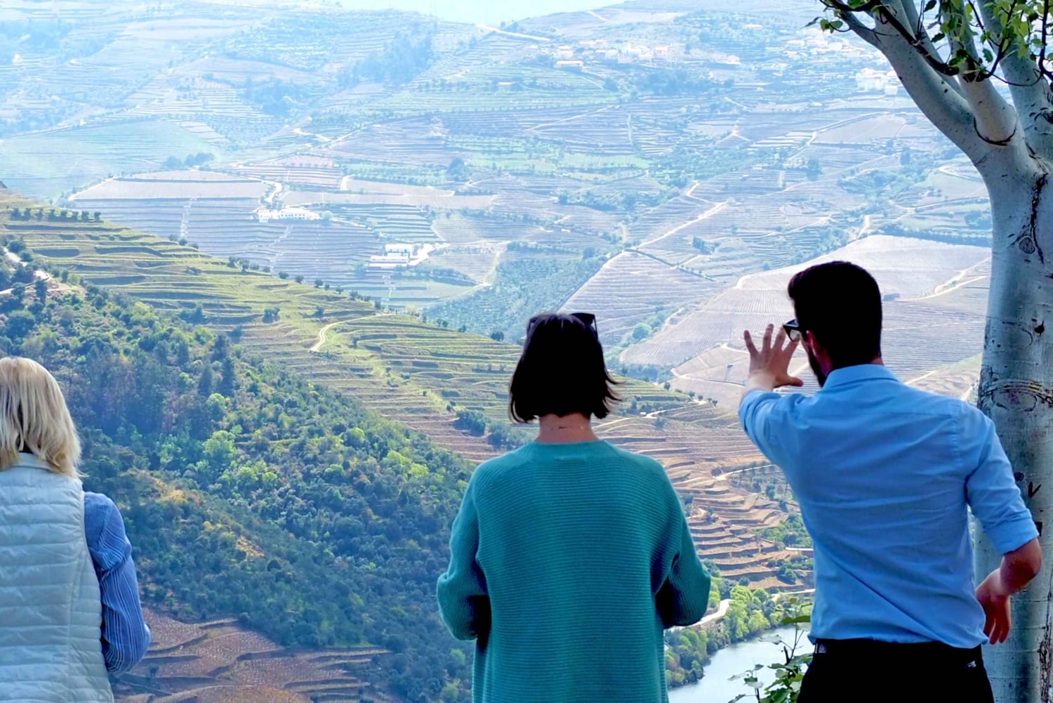Da Porto: Tour della Valle del Douro con crociera sul fiume e pranzo